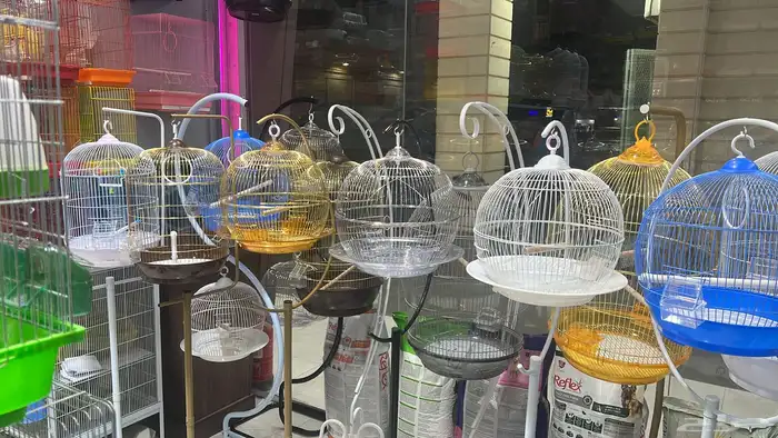 العامريه لطيور واسماك الزينه والقطط الاليفه 49