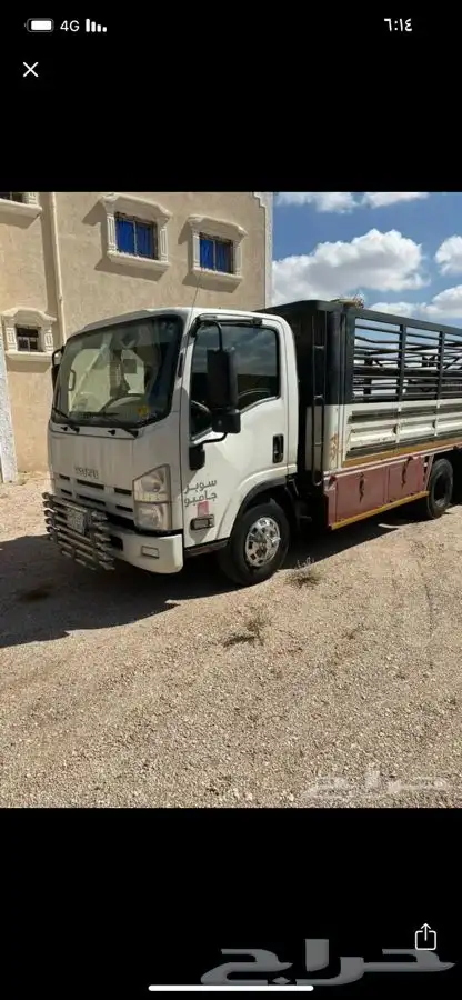 دينه عفش في خميس مشيط 0