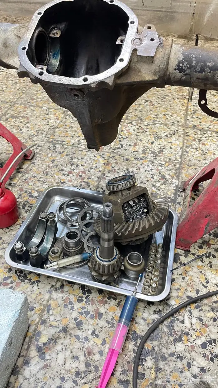 كوارين ددسن جميع الاحجام عادي وكلتشات ومشبوك 1