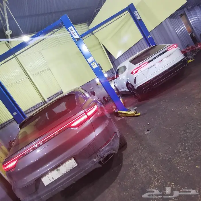 دودة كهربائية لجميع أنواع السيارات 14