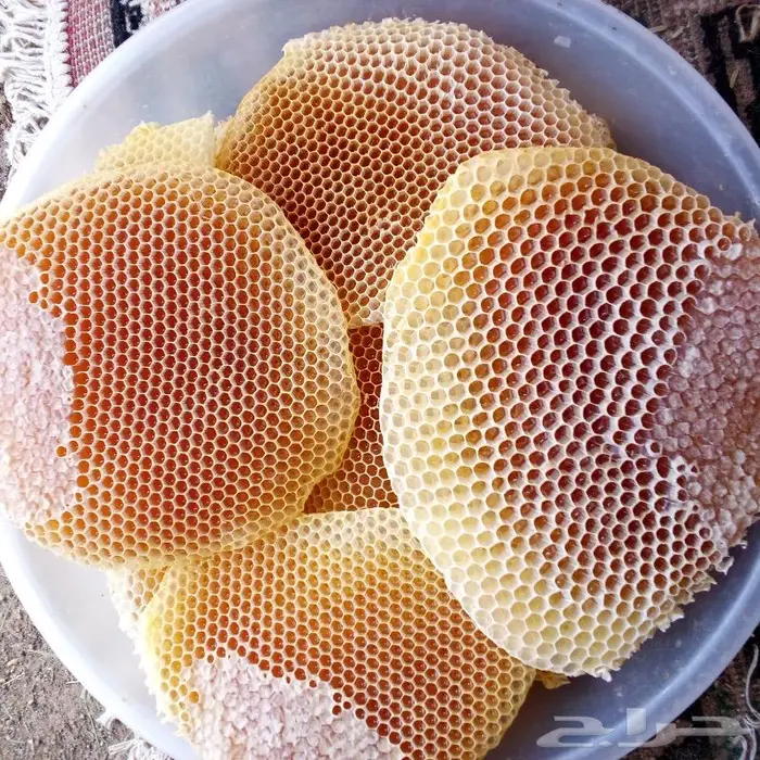 عسل سدر وسمره مضمون 9