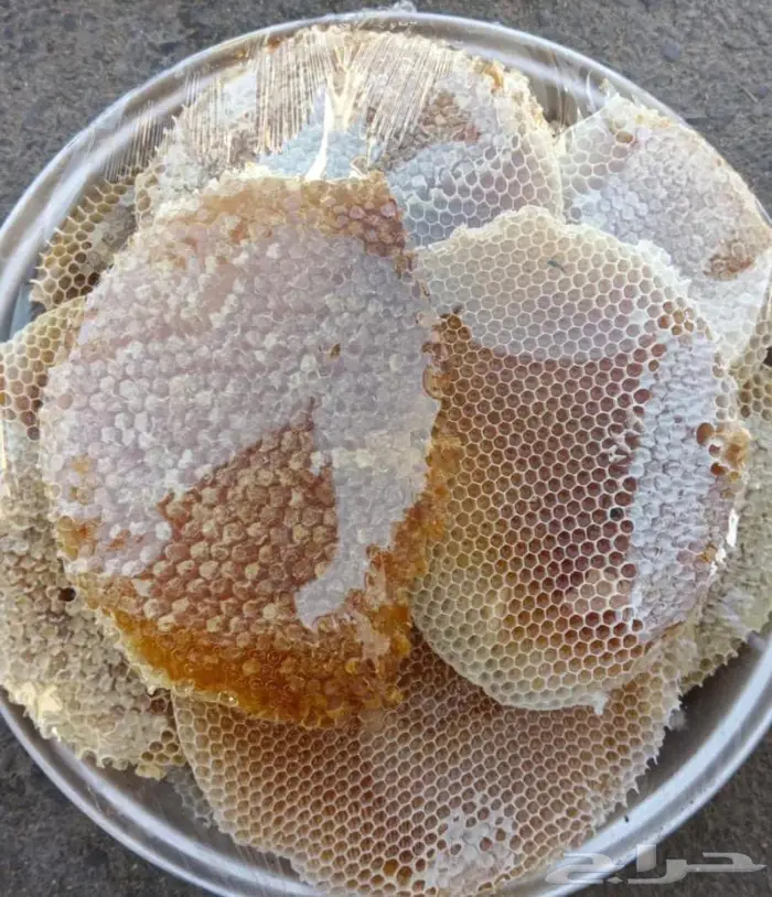 عسل سدر وسمره مضمون 6