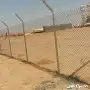 شبوك مزارع شبوك مواقع اسوارامنيه 1