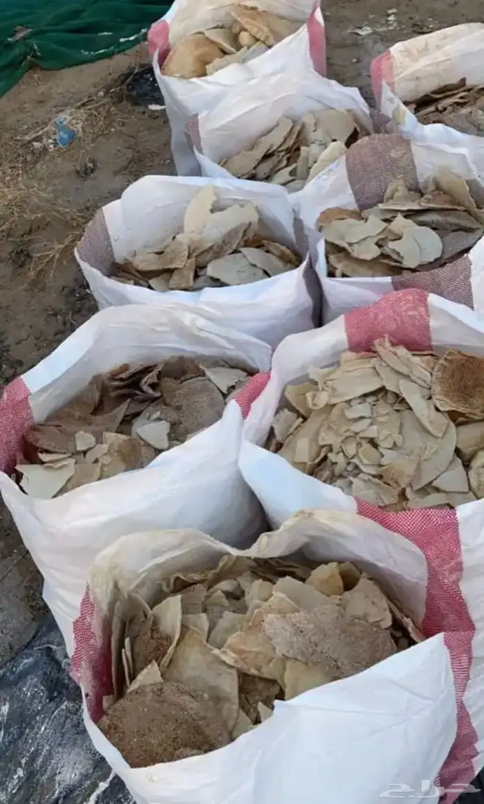 خبز ناشف للحلال 0