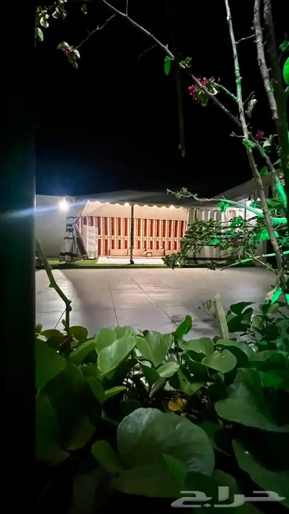 شاليهات الكيان الخالد للإيجار اليومي 3