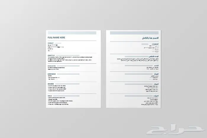 تصميم سيرة ذاتية CV السعر 20 2