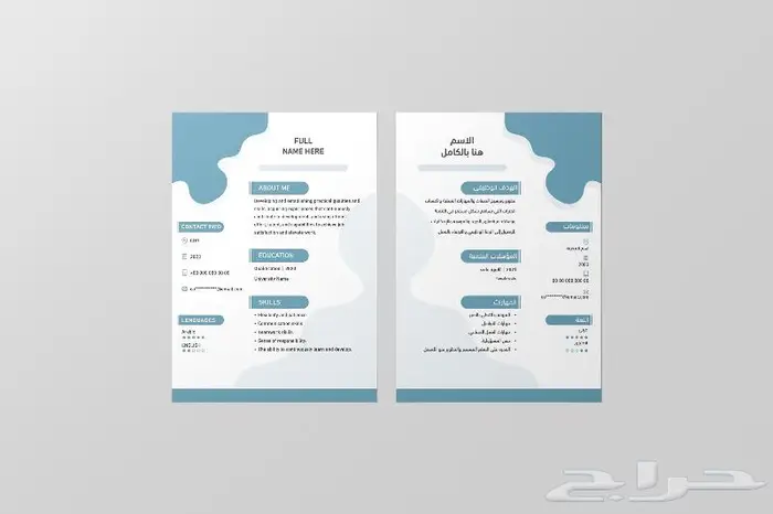 تصميم سيرة ذاتية CV السعر 20 3