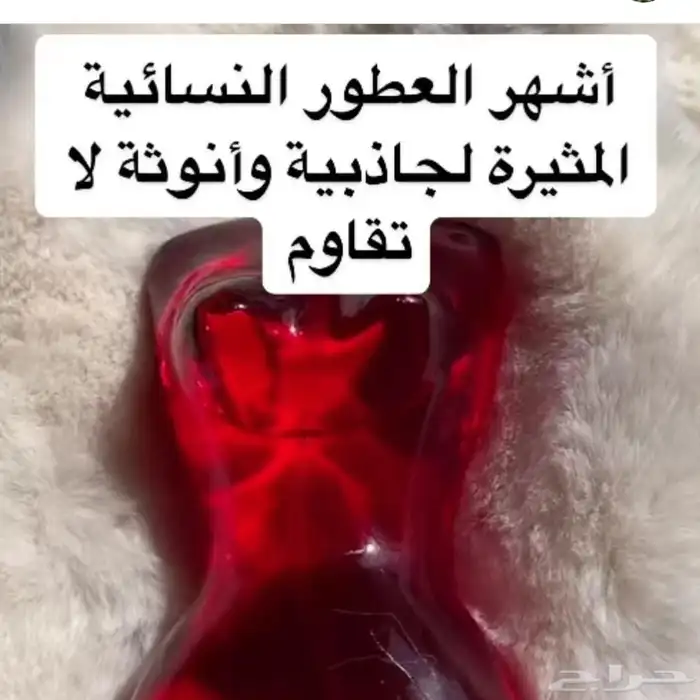 اقوى عرض ليوم التاسيس عطور فرمونية 2