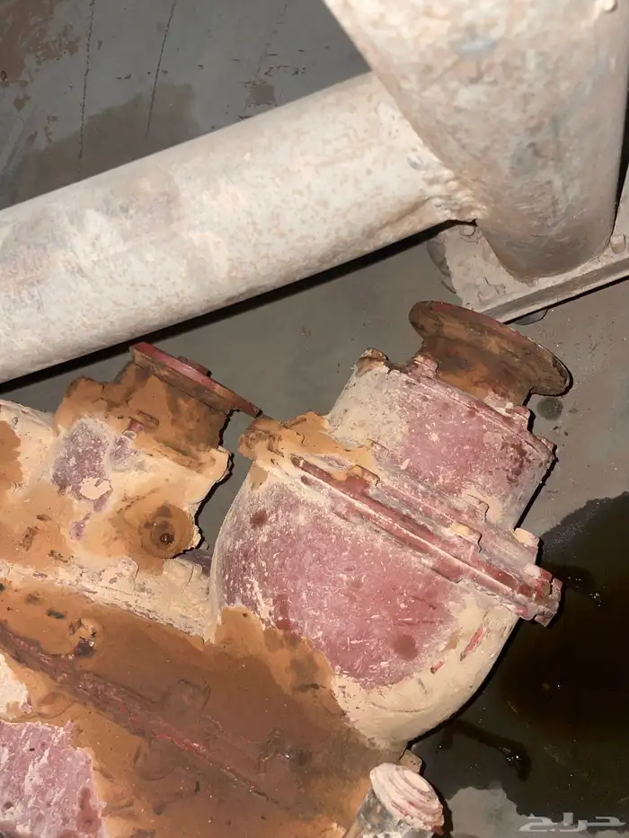 دبل سكس خياره 1