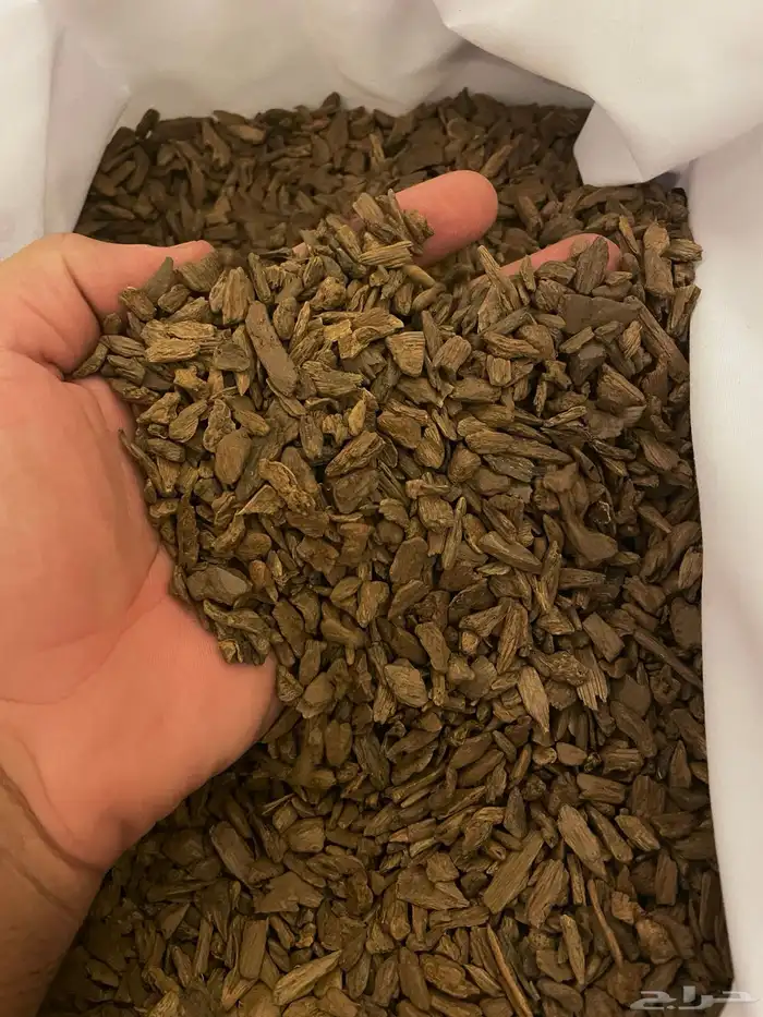 عود مروكي اصقون دقة دبل سوبر 3