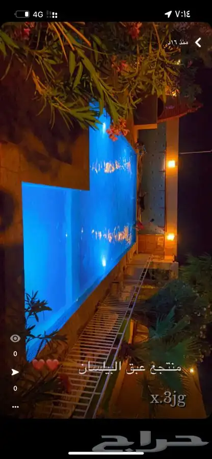 منتجع ومخيم عبق البيلسان 5