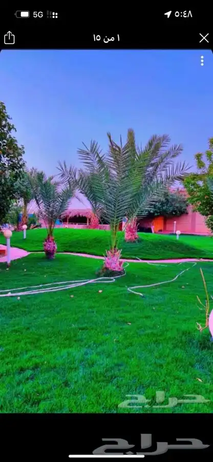منتجع ومخيم عبق البيلسان 3
