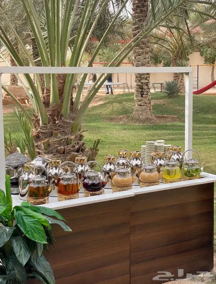 تاجير مكاين قهوة مختصة و ضيافة 6