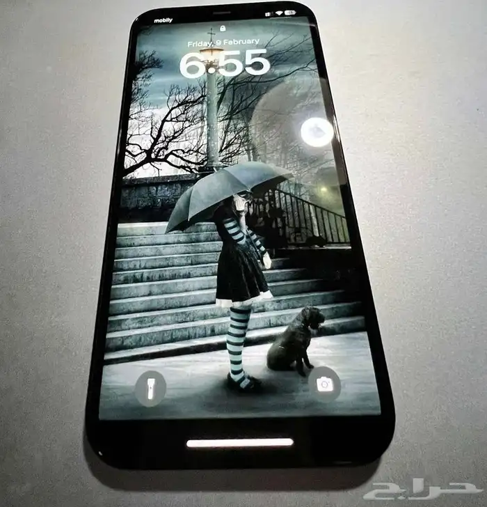 ايفونiPhone Pro Max 12 256GB Almost New 3