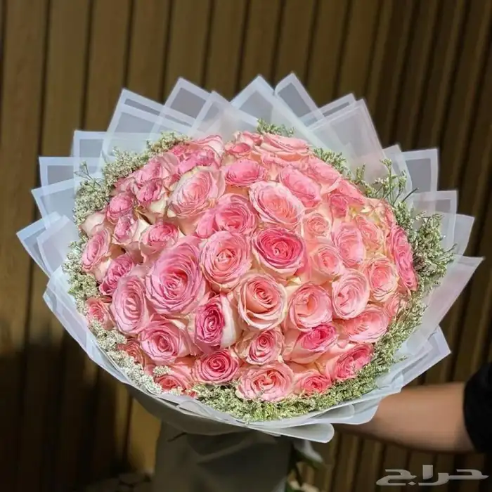 مندوب هدايا 6