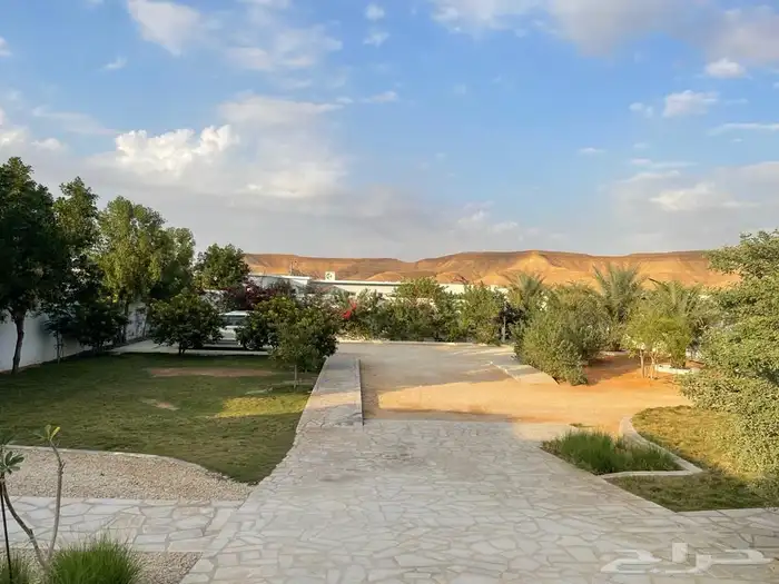 استراحة مشجره للإيجار اليومي العماريه 6