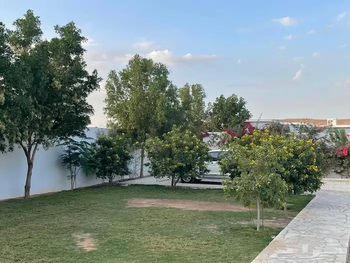 استراحة مشجره للإيجار اليومي العماريه 3
