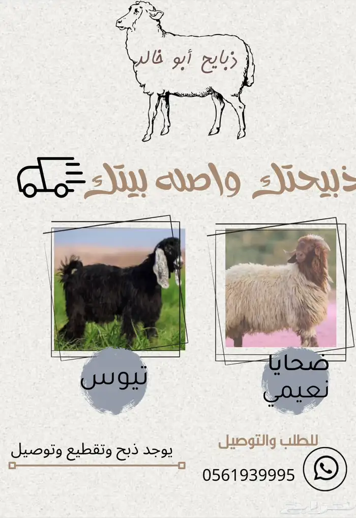 تيوس 0