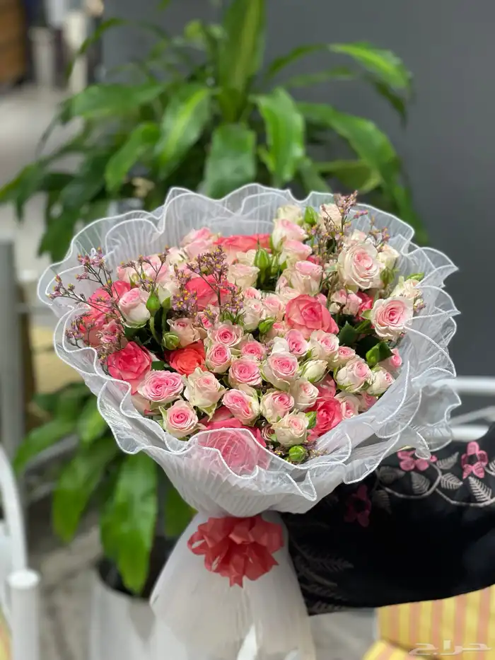 مندوب هدايا 31