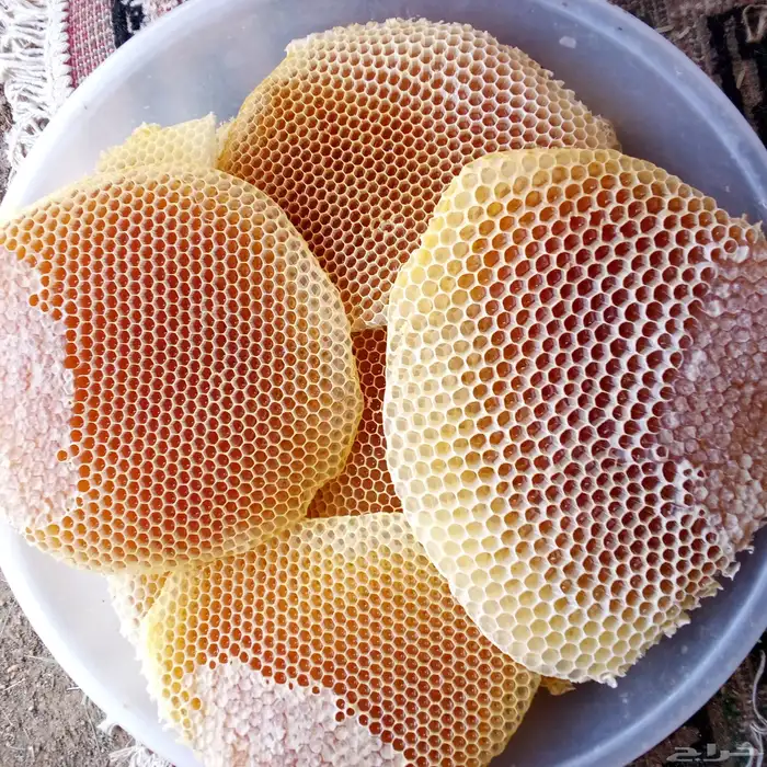 عسل سدر وسمره على الشرط 8