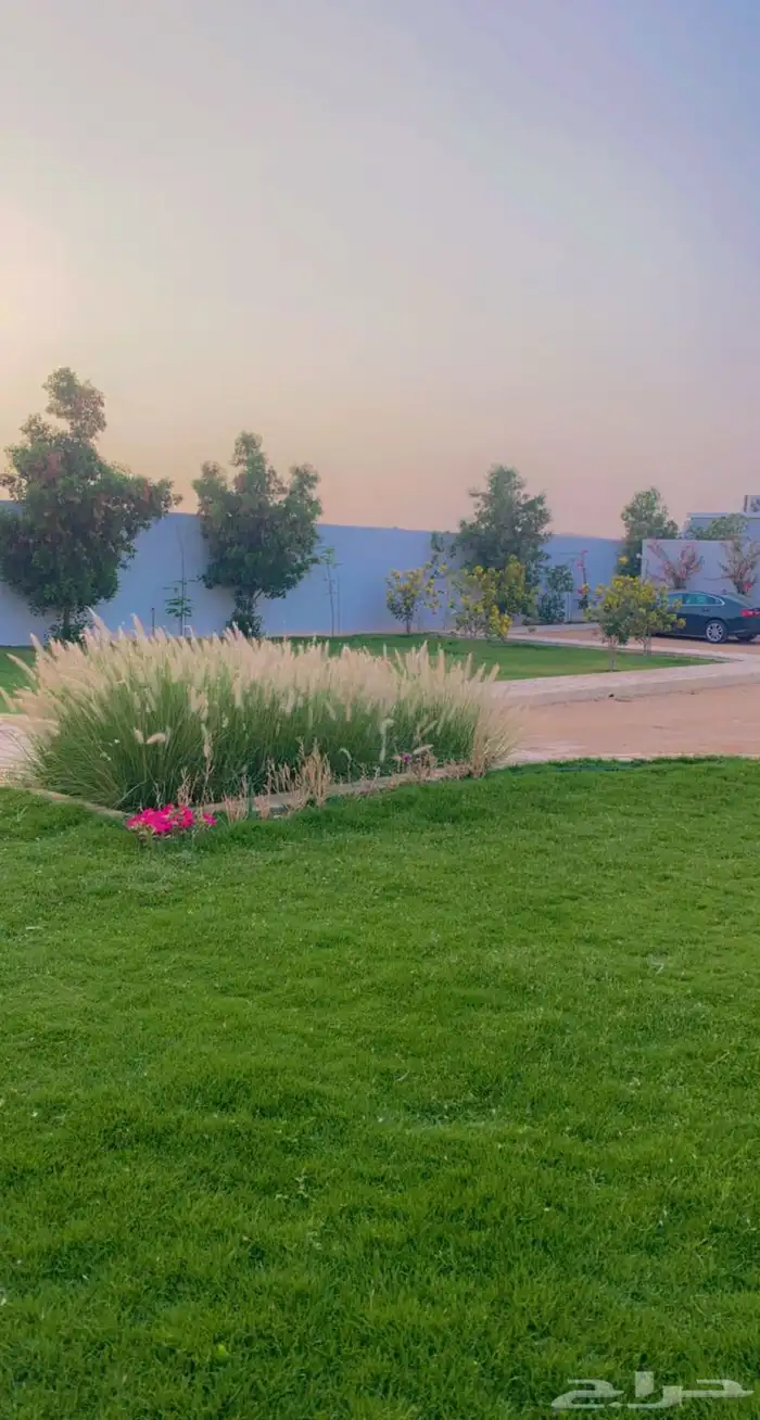 استراحة مشجره للإيجار اليومي العماريه 11