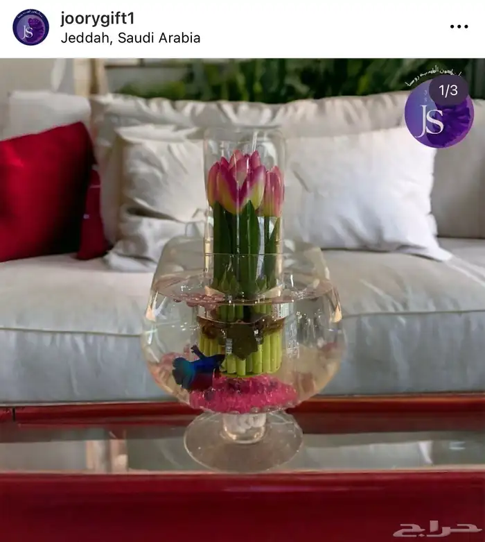 عروض هدايا التخرج 4