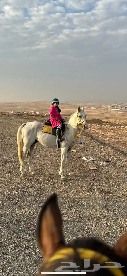 رحلات خارجيه بالخيل 12