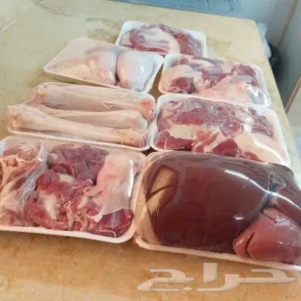 سواكني تربية وذبايح حري مع التوصيل والتغليف ويوجد طبخ 0