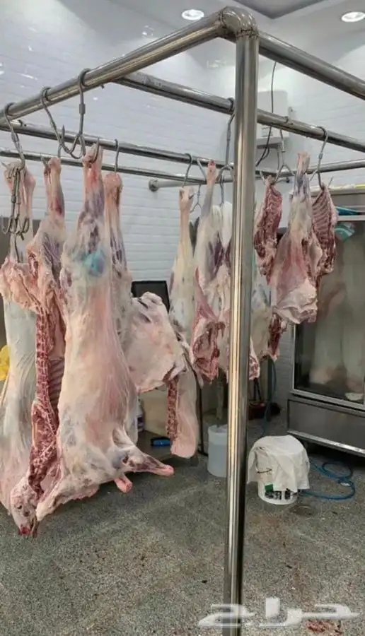 يوجد لدينا لحم مبرد وطازج بافضل جوده وسعر في جده 6