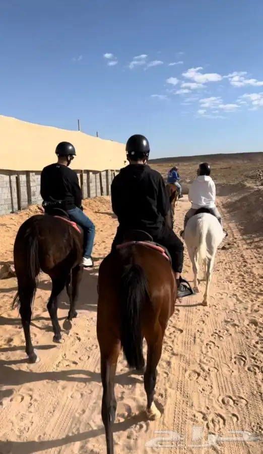 رحلات خارجيه بالخيل 2