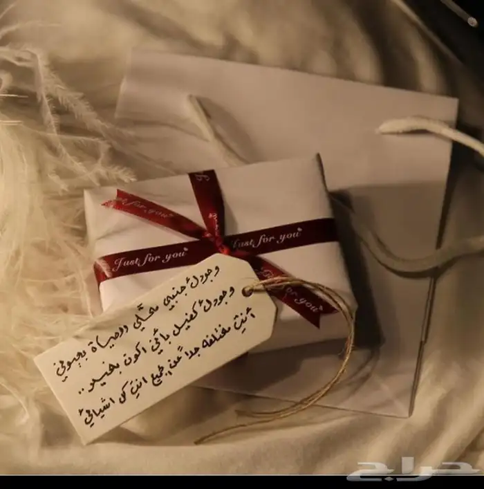 مندوب هدايا وتوصيل طلبات 19