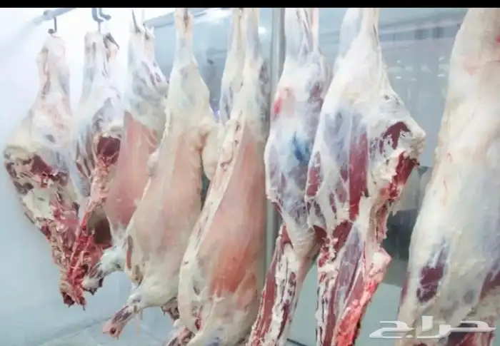 يوجد لدينا لحم مبرد وطازج بافضل جوده وسعر في جده 1