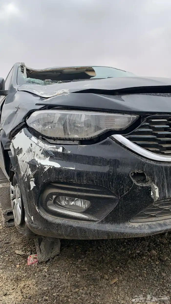 دودج نيون 2017 2