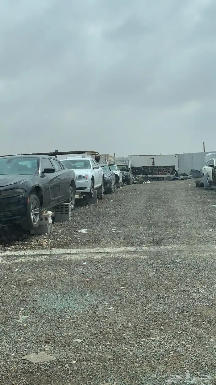 دودج نيون 2017 6