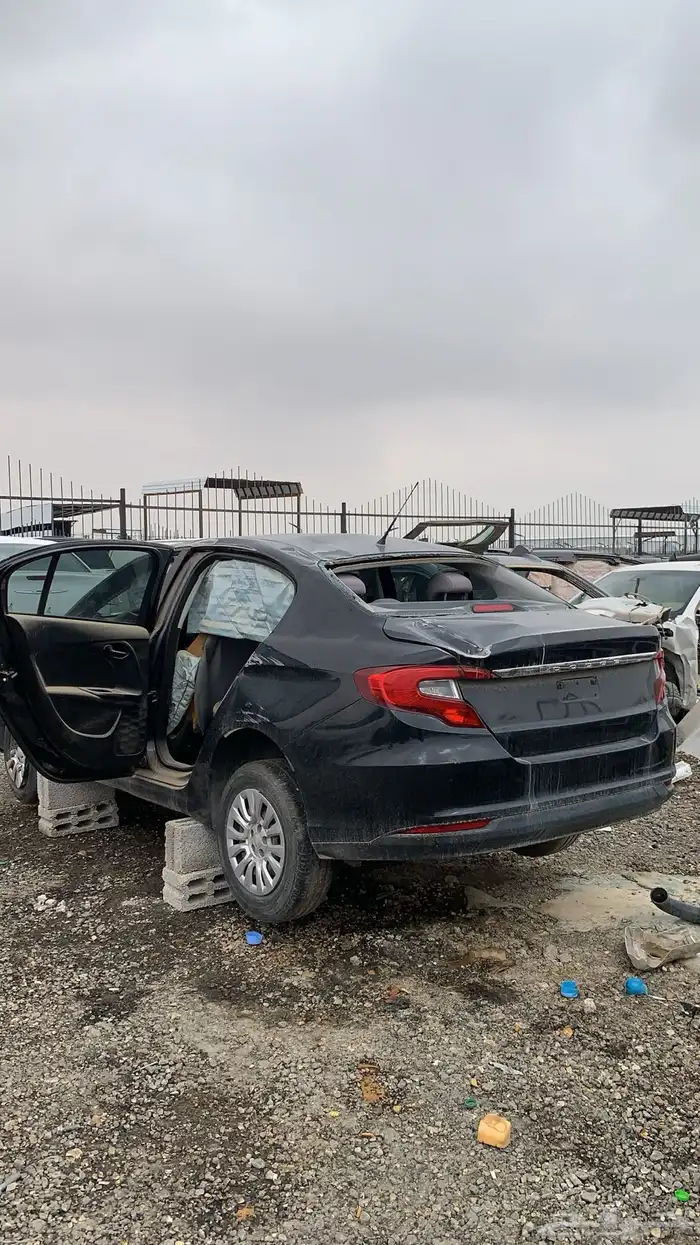 دودج نيون 2017 0