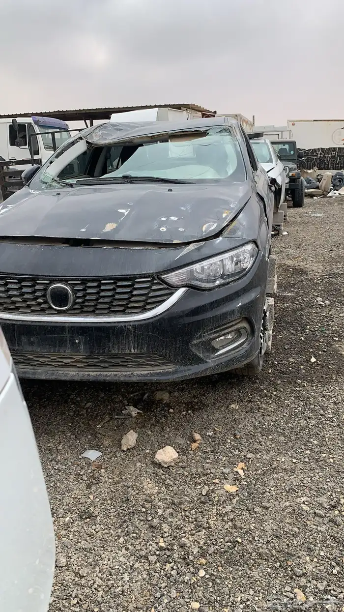 دودج نيون 2017 3