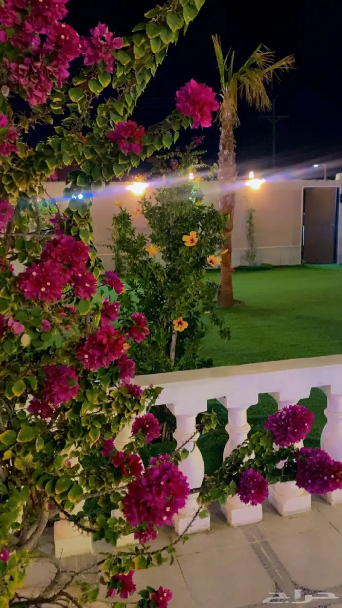 ثاني اكبر الشاليهات بالطايف 6