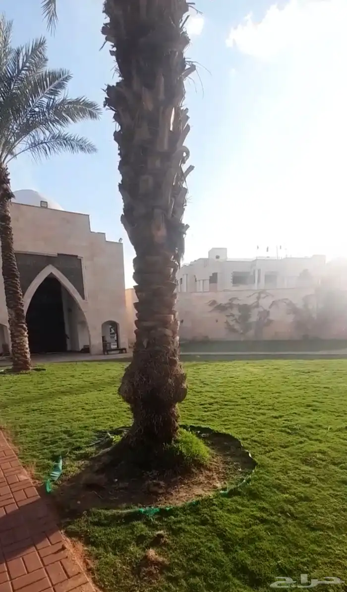 انجيله C2000 ثيل (( للحجز )) 0