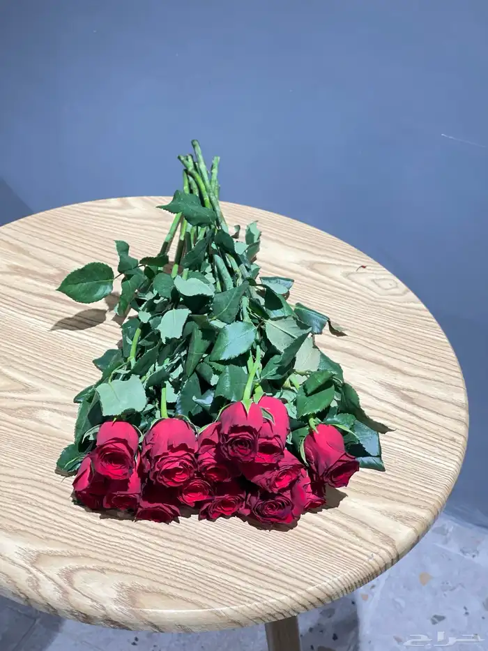مندوب منسق هداياء 19