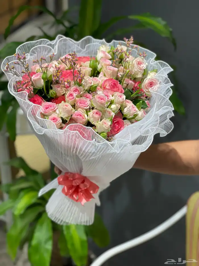 مندوب منسق هداياء 28