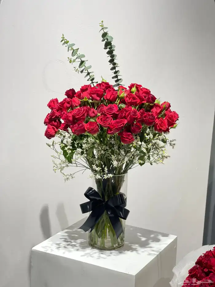 مندوب منسق هداياء 16