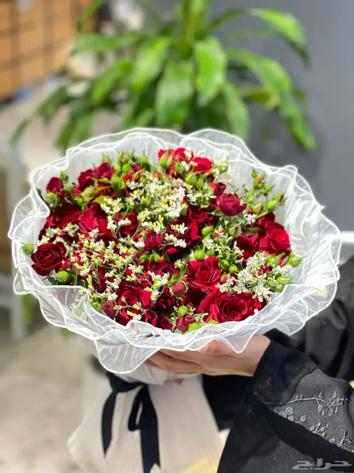 مندوب منسق هداياء 27