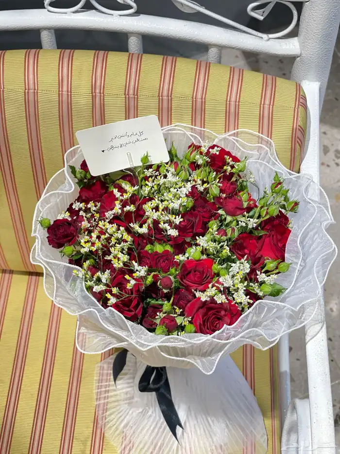 مندوب منسق هداياء 26