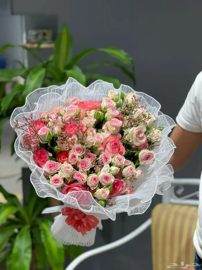 مندوب منسق هداياء 29