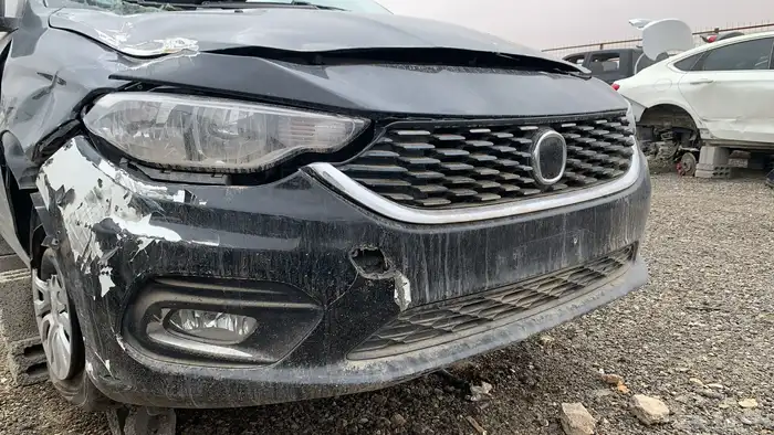 دودج نيون 2017 1