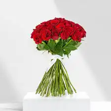 مندوب منسق هداياء 24