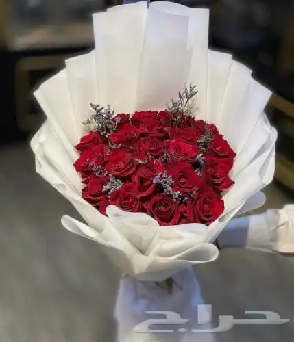 مندوب منسق هداياء 11