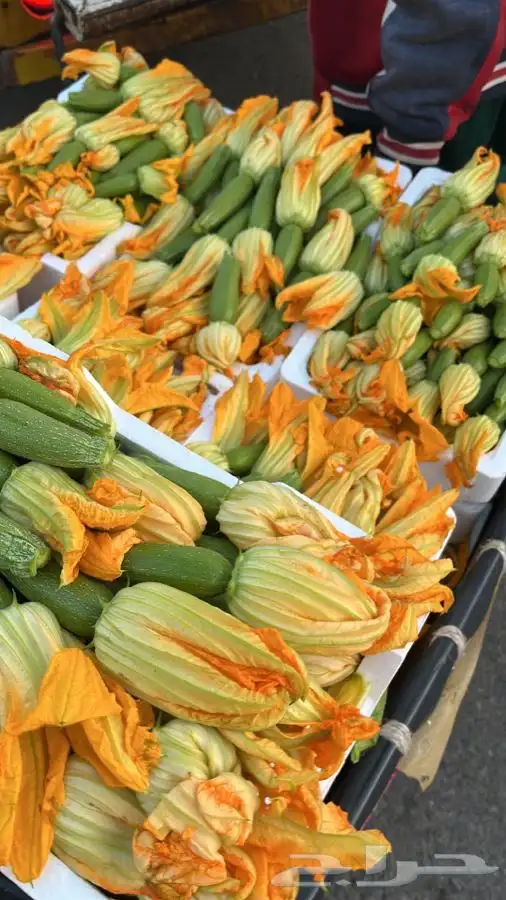 توريد خضار القصيم الطازجة 2