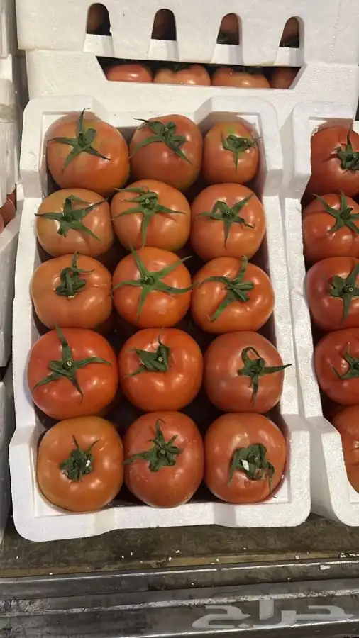 توريد خضار القصيم الطازجة 0