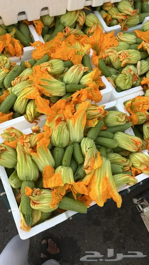 توريد خضار القصيم الطازجة 3